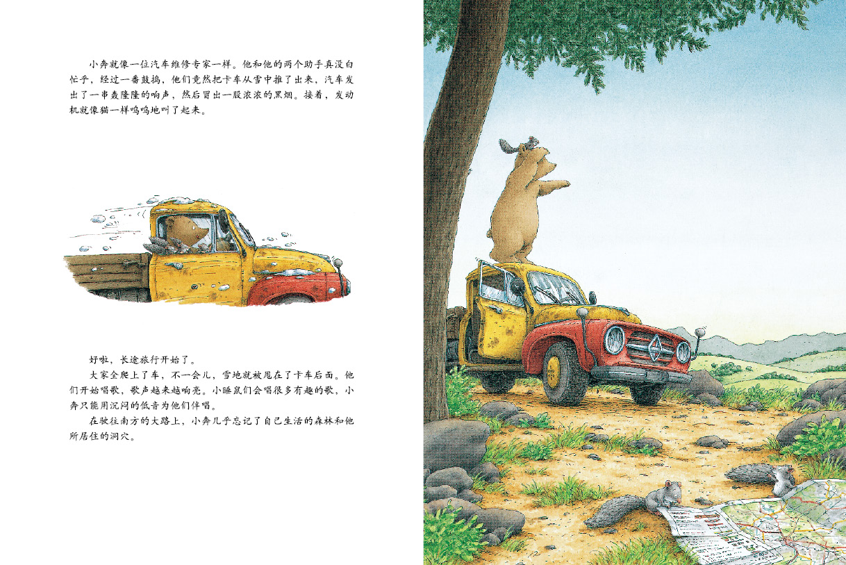 小棕熊的梦 (10),绘本,绘本故事,绘本阅读,故事书,童书,图画书,课外阅读